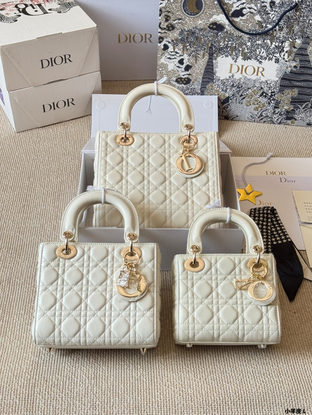 DIOR bag 360
